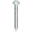 100mm Domed Survey Nail (50pcs)